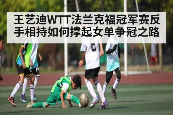 王艺迪WTT法兰克福冠军赛反手相持如何撑起女单争冠之路 | HUPU ESPORTS